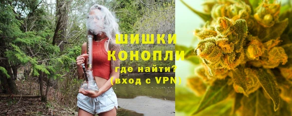дживик Гусев