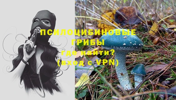 кокс Горнозаводск